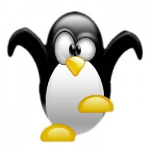 tux-300x300.jpg tux-300x300.jpg